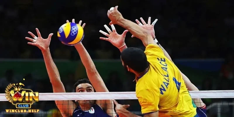 Cá cược bóng chuyền hấp dẫn với những trận đấu gay cấn từng set