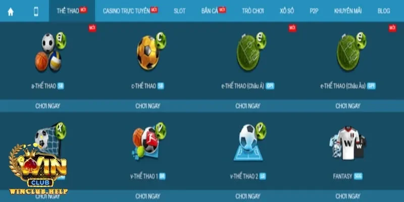 Chiến lược cá cược bóng chuyền để tối ưu hóa lợi nhuận