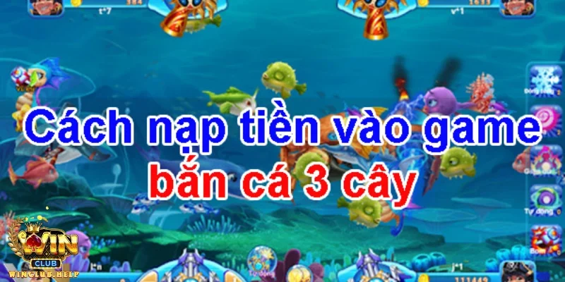 Chiến thuật chơi bắn cá hiệu quả cho người mới