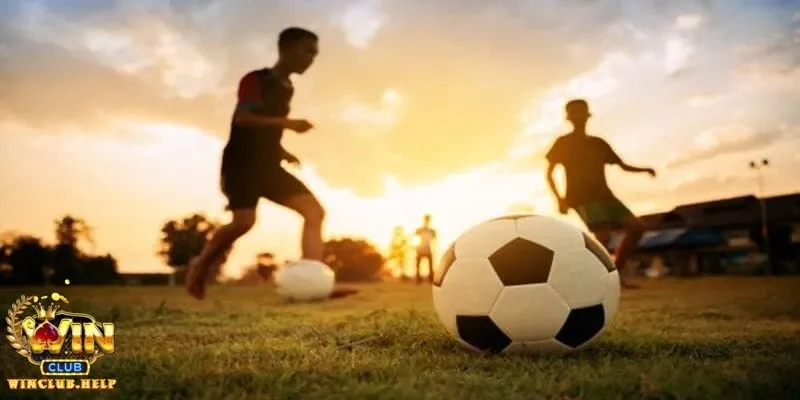 Khám phá các môn thể thao Winclub hấp dẫn và cách tham gia