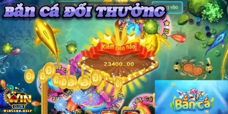 Siêu cá và sức hút khó cưỡng từ đại dương số