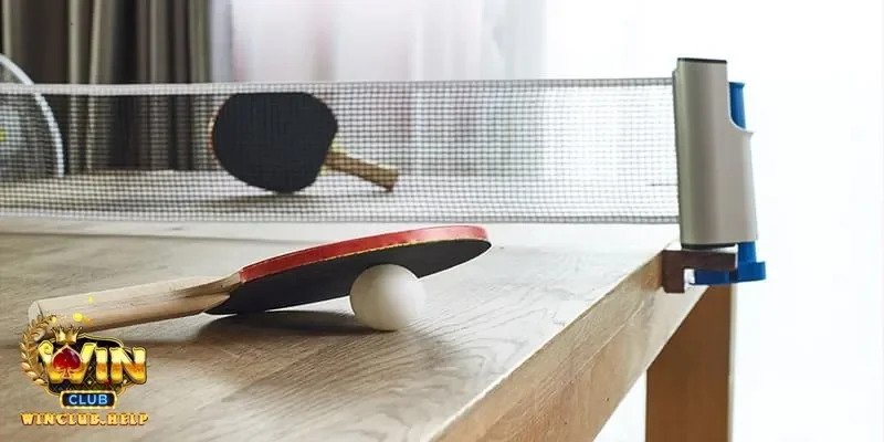 Tâm lý thi đấu cá cược bóng bàn và sự chuẩn bị của vận động viên