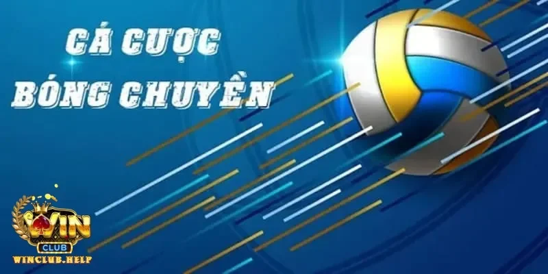 Tính toàn cầu của cá cược bóng chuyền và những giải đấu đỉnh cao